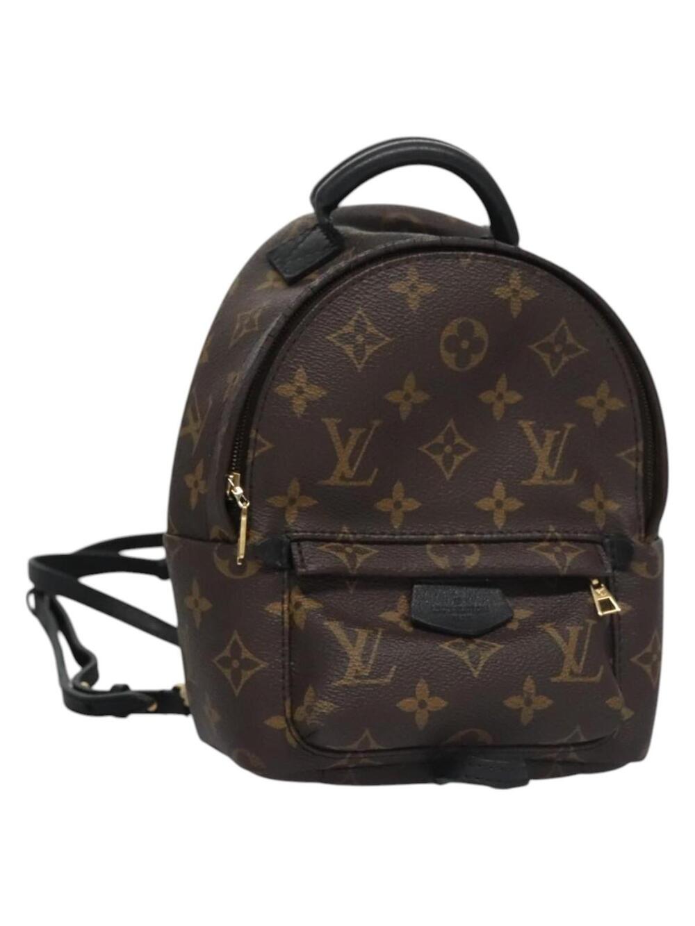 Louis Vuitton Palm Springs Mini #359358L73B